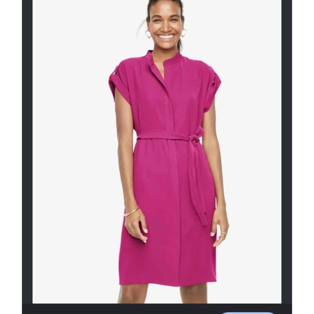 ANN TAYLOR Fuchsia pencil dress with belt size Small
